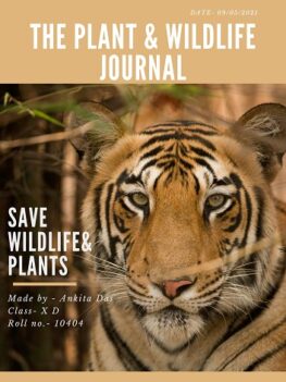 The Plant & Wildlife Journal